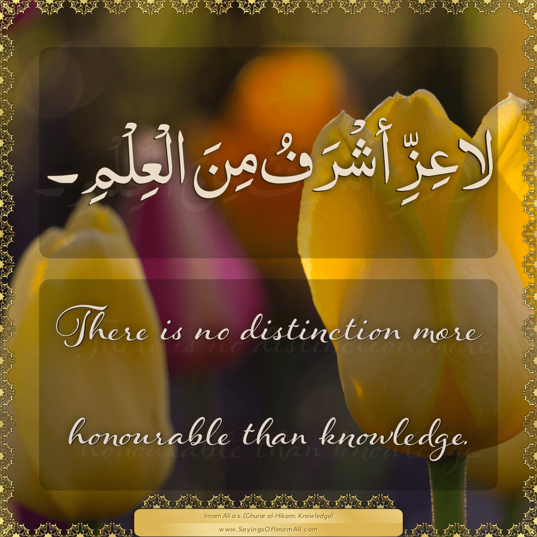 There is no distinction more honourable than knowledge.